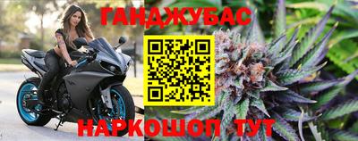 шишки Пугачёв